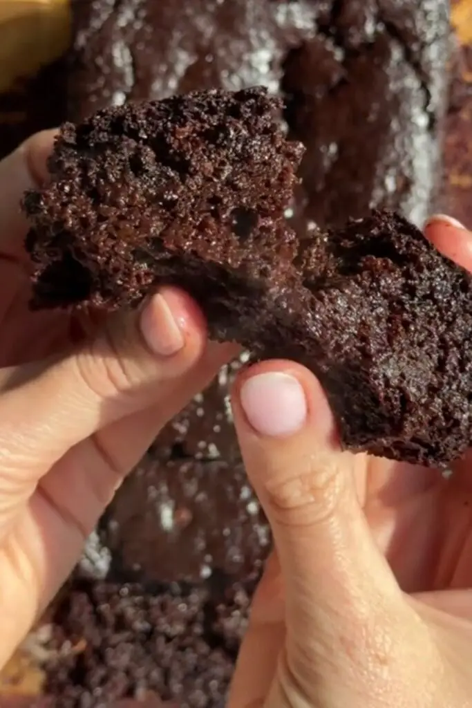 Chocolate Chip Zucchini Bread